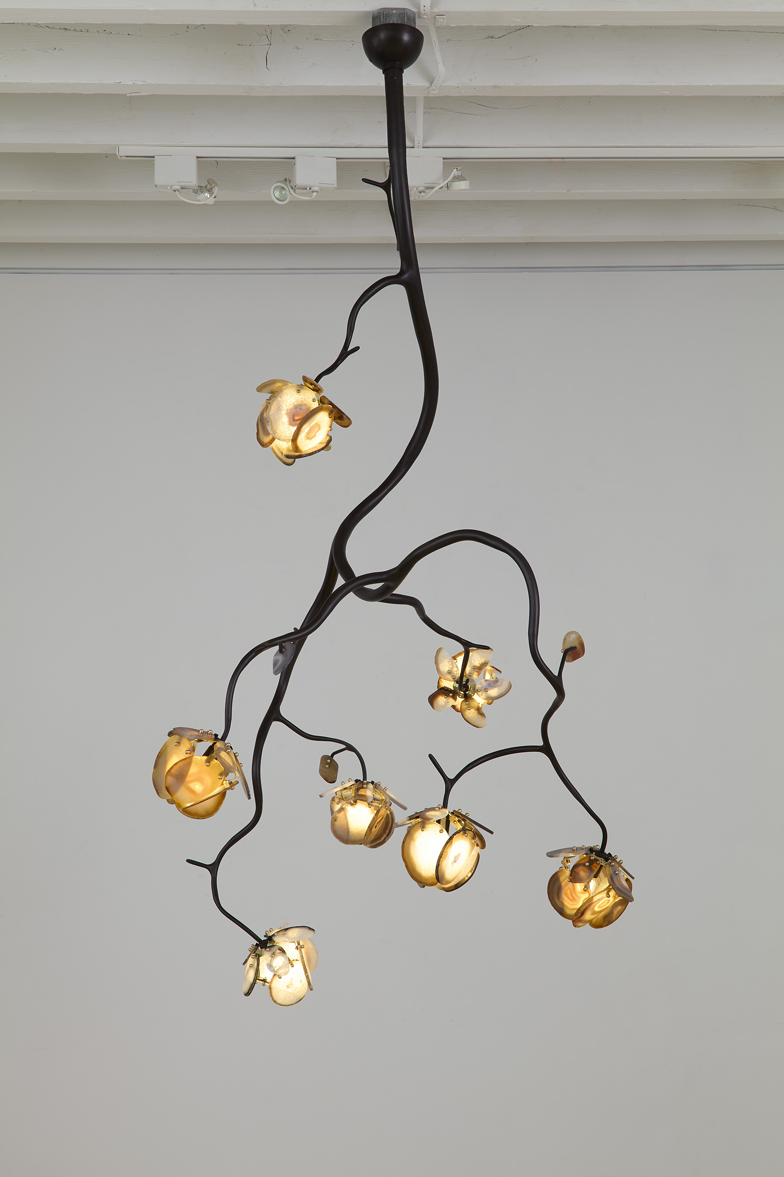 a chandelier of illuminated agate flowers on an organic brass structure plated black